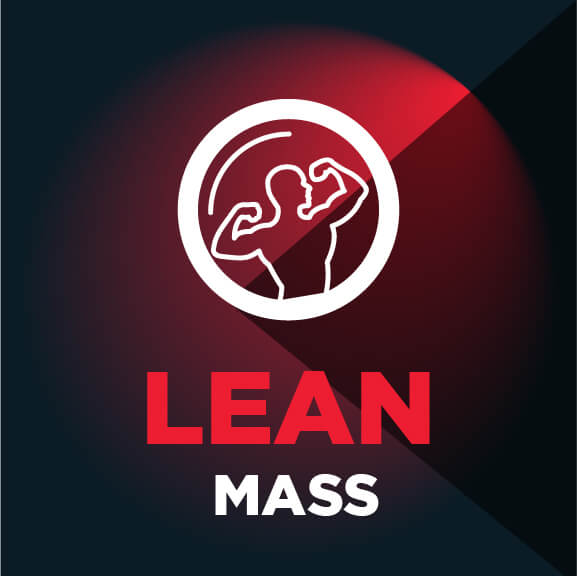 MuscleBlaze High Protein Gainer Lean Mass 18 MuscleBlaze High Protein Gainer Lean Mass