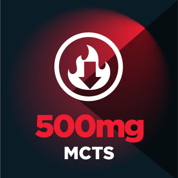 MuscleBlaze High Protein Gainer Lean Mass 19 MuscleBlaze High Protein Gainer Lean Mass