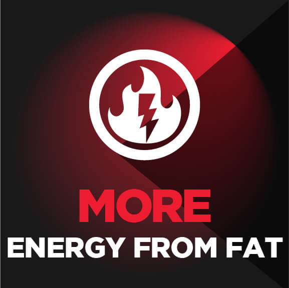 MuscleBlaze Mass Gainer PRO with Creapure 21 MuscleBlaze Mass Gainer PRO with Creapure